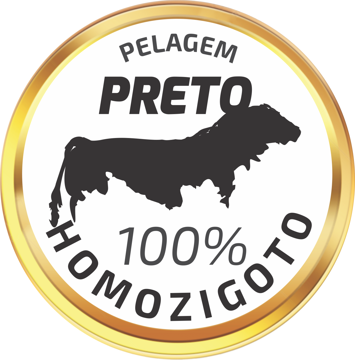 Homozigoto Preto