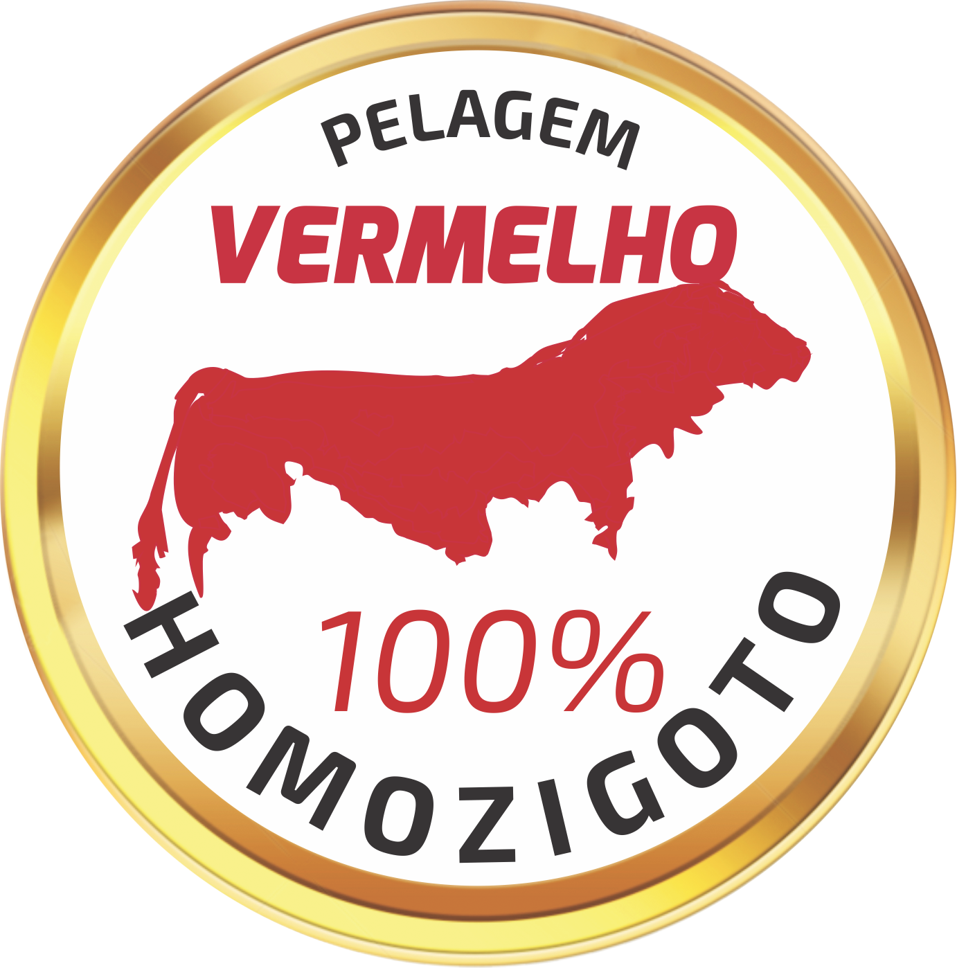 Homozigoto Vermelho